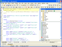 WeBuilder 2007