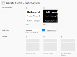 2011: Theme Options