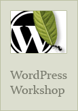 WordPress-Workshops
