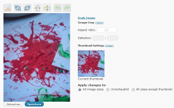 Bildbearbeitung in WordPress 2.9