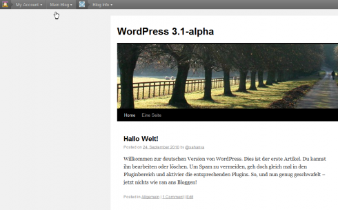 WordPress Admin-Bar