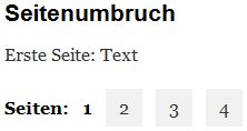 WordPress: Seitenumbruch