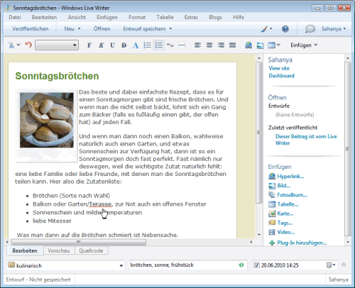 Mit Windows Live Writer von Microsoft Artikel in WordPress verfassen