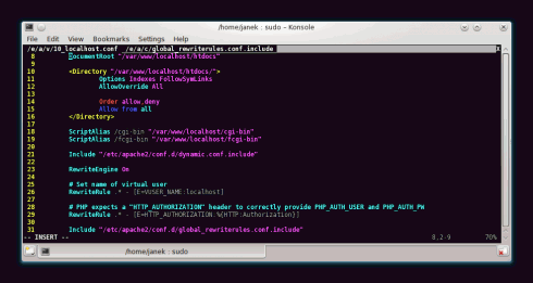 Vim im Terminalfesnter