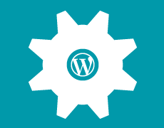 WordPress anpassen