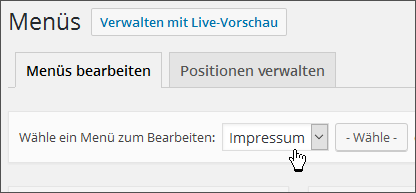 WordPress-Menü auswählen