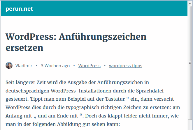 Mobile Ausgabe eines WordPress-Artikels, generiert mit AMP