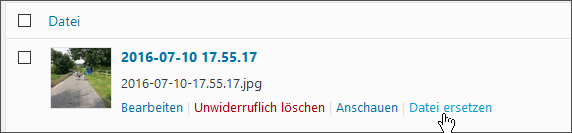 Datei in der WordPress-Mediathek ersetzen