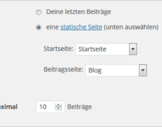 Start- und Beitragsseite in WordPress gezielt ansprechen