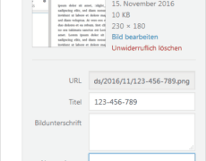 WordPress 4.7: Keine Fallback-Lösung mehr für fehlenden Alternativtext bei Bildern