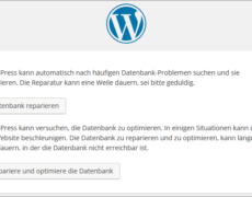 Die Konfigurationsdatei von WordPress aufbohren