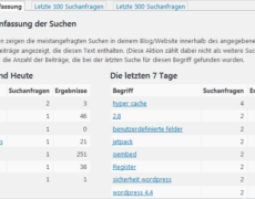 Search Meter für WordPress: wonach suchen deine Besucher