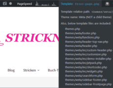 Welches WordPress-Template ist es denn nun?