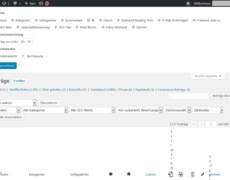 Was tun, wenn die "Alle Beiträge"-Ansicht in WordPress zerschossen ist?