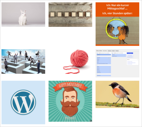 Nicht zugeschnittene Bilder in einer WordPress-Galerie