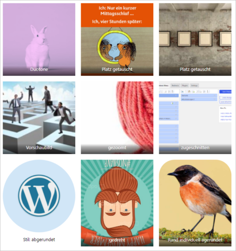 WordPress-Galerie mit individuell eingestellten Bildern.