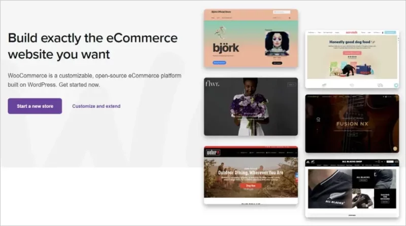 Screenshot: WooCommerce